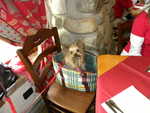 DSCN5548.JPG