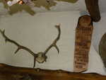 DSCN5555.JPG