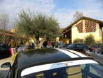 DSCN3972.JPG