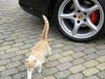 DSCN4025.JPG