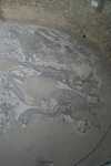 IMG 2265[1]