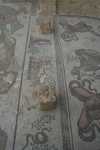 IMG 2266[1]