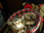 DSCN7811.JPG