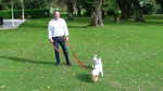SAM_0345.JPG