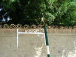 DSCN3171.JPG