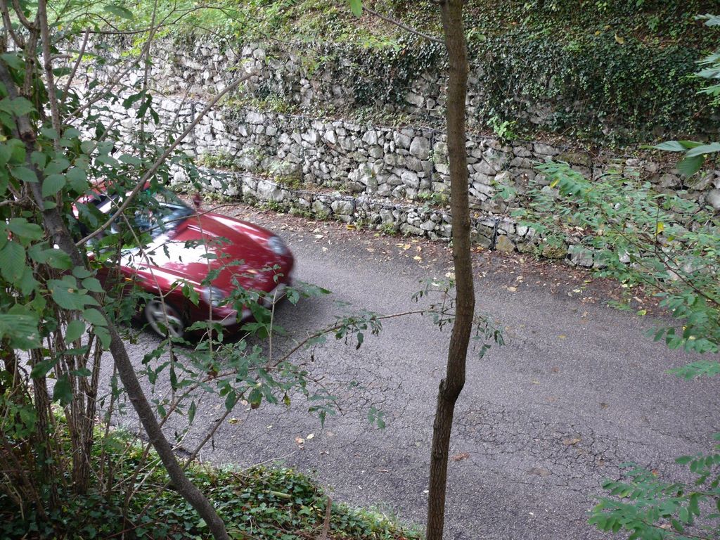 P1070415.JPG