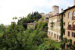 Dedo_Treviso_05.jpg