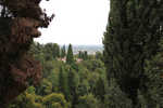 Dedo_Treviso_08.jpg