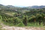 Dedo_Treviso_48.jpg