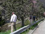 marcamento del territorio