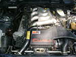 Vizzola2009 068.jpg